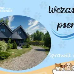 Noclegi z psem w Niechorzu: Wypoczynek z pupilem nad morzem