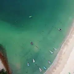 Plaża w Mikoszewie: Piękne i spokojne miejsce nad Bałtykiem