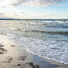 Plaża z falami i wodorostami, w oddali widać molo. To urokliwe kąpielisko w powiecie puckim zaprasza do spacerów.