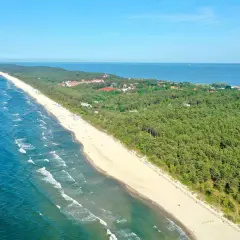 Piękna plaża i las sosnowy w Krynicy Morskiej, idealne miejsce na wakacje. W oddali widać morze i zabudowania.