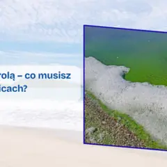 Hel czy są sinice? Różnice, zagrożenia i ekologiczne znaczenie tych zjawisk