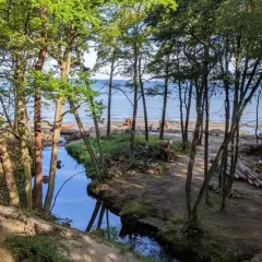 Leśna ścieżka nad morzem, strumyk odbijający drzewa, maszyny budowlane na plaży. Orzechowo atrakcje w przygotowaniu.
