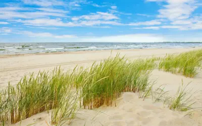 Piękna, piaszczysta sobieszewo plaża z zieloną trawą na wydmach i spokojnym morzem pod błękitnym niebem.