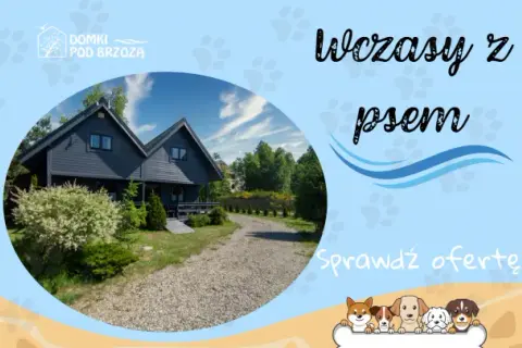 Noclegi z psem w Niechorzu: Wypoczynek z pupilem nad morzem