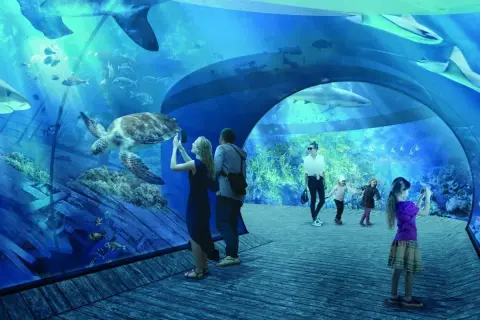 Rodzina zwiedza jastrzębia góra oceanarium, podziwiając żółwia i rekiny. Dzieci robią zdjęcia podwodnego świata.