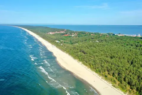 Piękna plaża i las sosnowy w Krynicy Morskiej, idealne miejsce na wakacje. W oddali widać morze i zabudowania.
