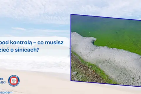 Hel czy są sinice? Różnice, zagrożenia i ekologiczne znaczenie tych zjawisk