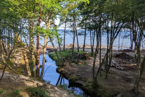 Leśna ścieżka nad morzem, strumyk odbijający drzewa, maszyny budowlane na plaży. Orzechowo atrakcje w przygotowaniu.