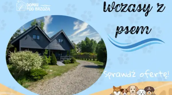Noclegi z psem w Niechorzu: Wypoczynek z pupilem nad morzem