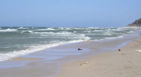 Plaża z falami i wydmami. Warto zobaczyć to miejsce, idealne na spacer i podziwianie natury.