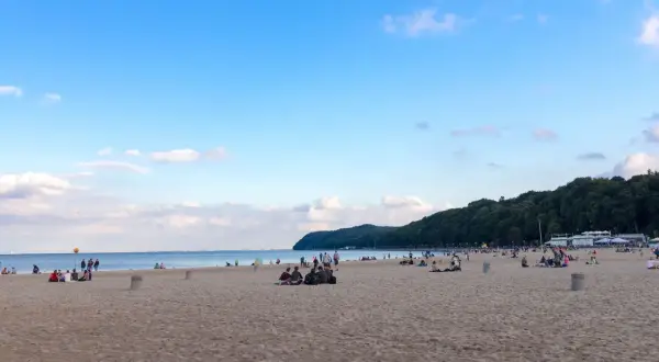 Ludzie odpoczywają na piaszczystej plaży miejskiej Gdynia, w tle las i błękitne niebo.