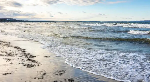 Plaża z falami i wodorostami, w oddali widać molo. To urokliwe kąpielisko w powiecie puckim zaprasza do spacerów.