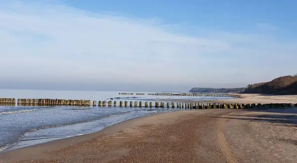 Plaża nad Bałtykiem z drewnianymi falochronami i łagodnymi falami.