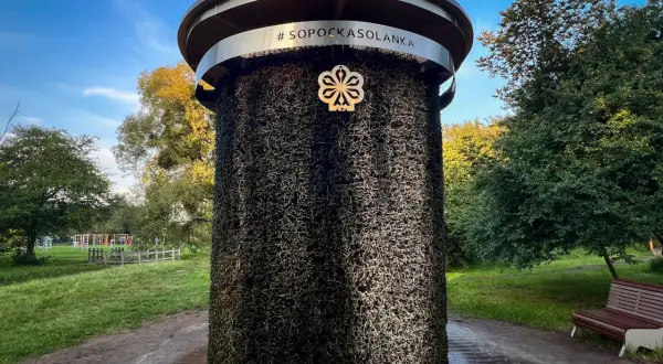#Sopockasolanka - inhalacje solankowe, relaks i zdrowe atrakcje dla dorosłych w Sopocie.