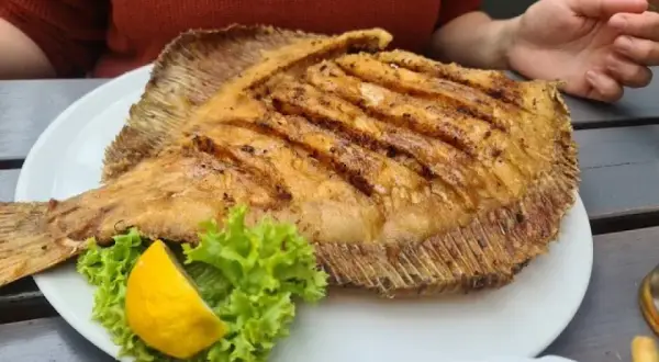 Restauracje w Pustkowie: Najlepsze miejsca na posiłek