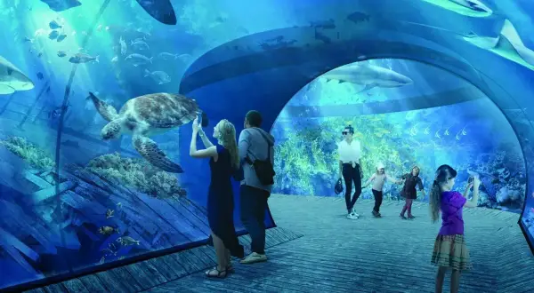 Rodzina zwiedza jastrzębia góra oceanarium, podziwiając żółwia i rekiny. Dzieci robią zdjęcia podwodnego świata.