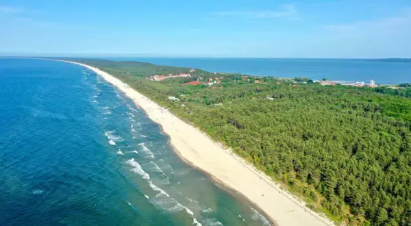 Piękna plaża i las sosnowy w Krynicy Morskiej, idealne miejsce na wakacje. W oddali widać morze i zabudowania.