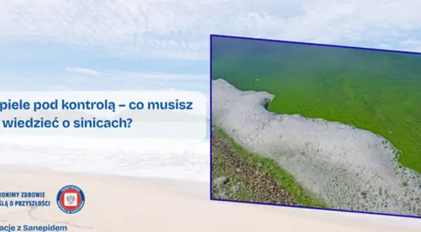 Hel czy są sinice? Różnice, zagrożenia i ekologiczne znaczenie tych zjawisk