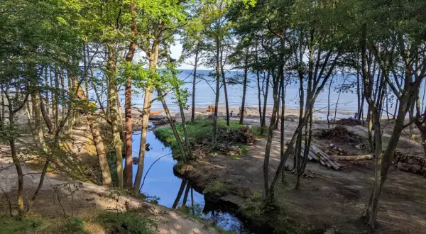 Leśna ścieżka nad morzem, strumyk odbijający drzewa, maszyny budowlane na plaży. Orzechowo atrakcje w przygotowaniu.