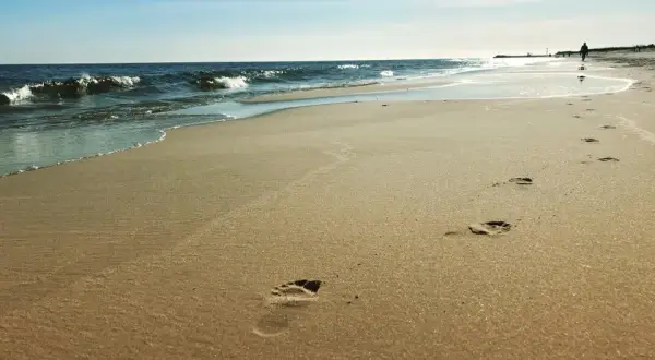 Ile wynosi opłata klimatyczna we Władysławowie? Sprawdź stawki!