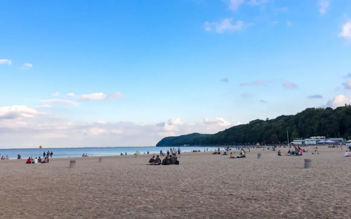 Ludzie odpoczywają na piaszczystej plaży miejskiej Gdynia, w tle las i błękitne niebo.