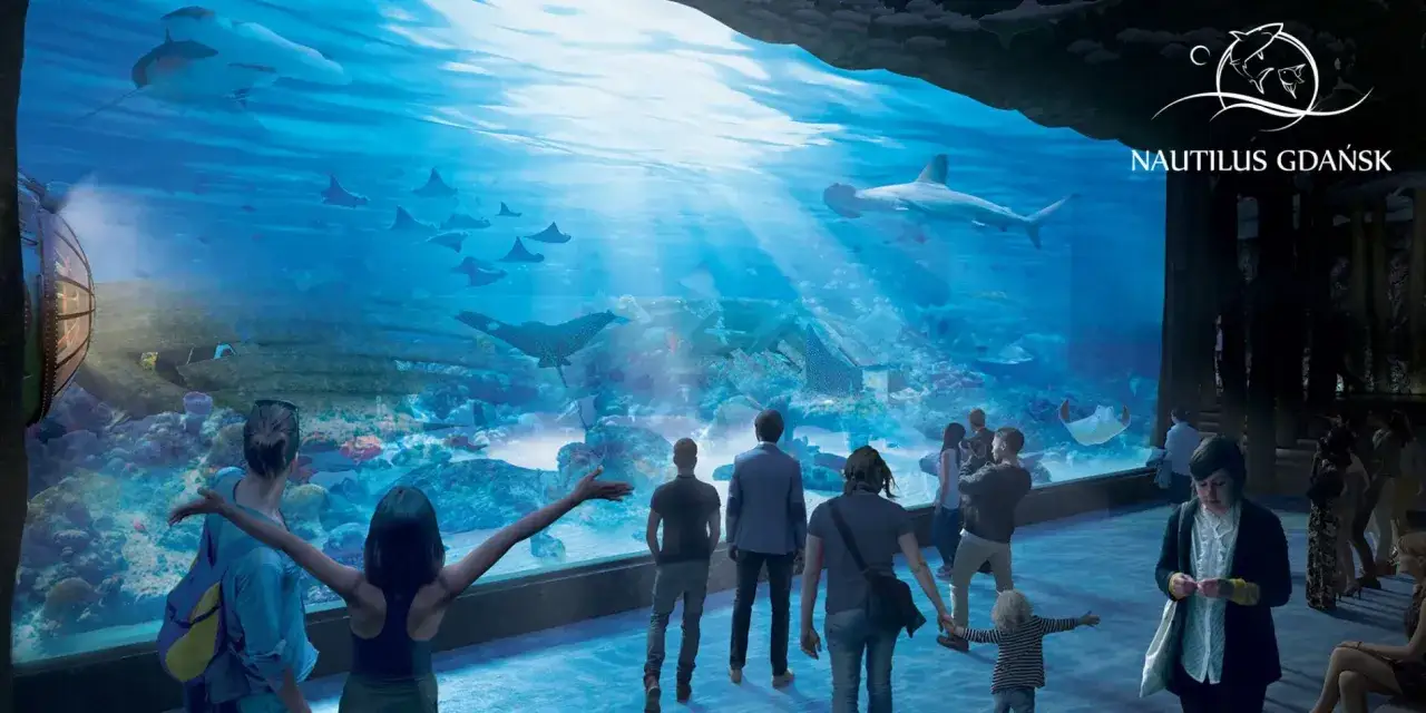 Ludzie podziwiają rekiny i płaszczki w ogromnym akwarium w Oceanarium Gdańsk.