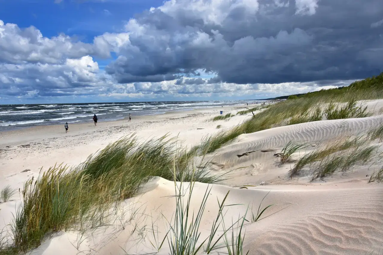 Plaża z wydmami i trawą, w oddali morze i kilka osób spacerujących. Idealne miejsce na relaks po wizycie w aquaparku Sztutowo.