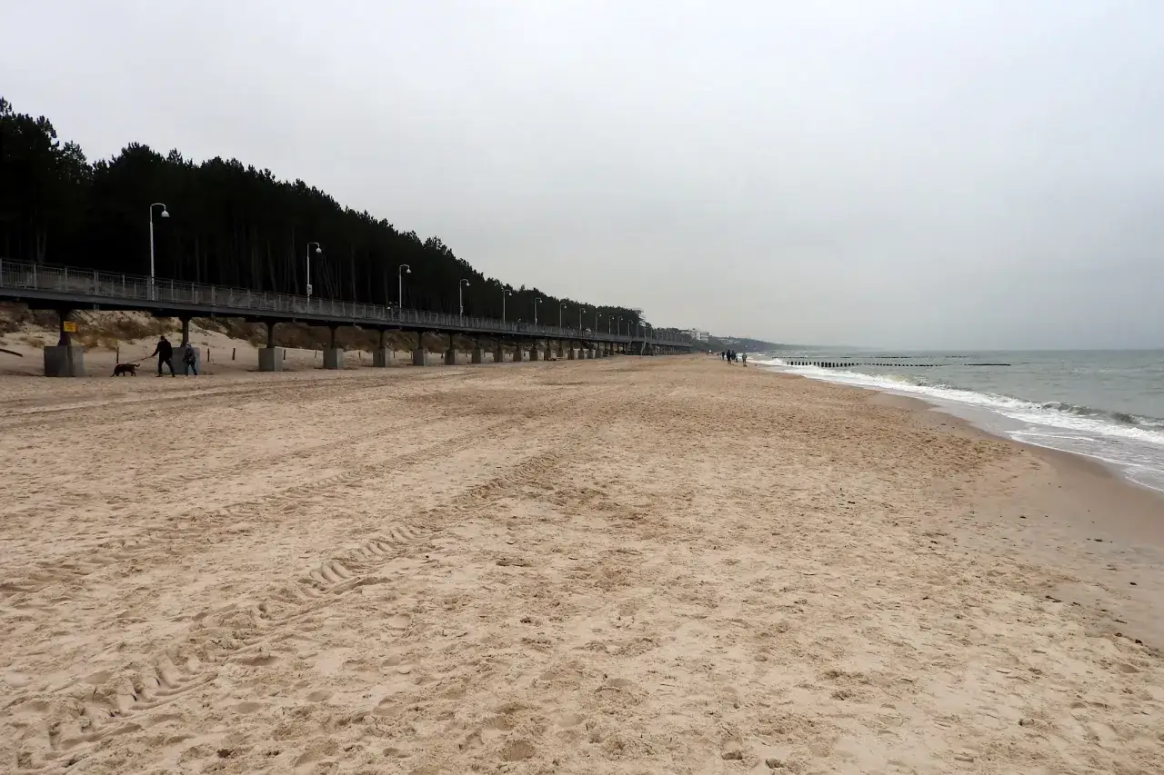 Spacer po plaży w Mielnie zimą. Widać molo, las i morze. Spacer z psem to jedna z atrakcji zimą.