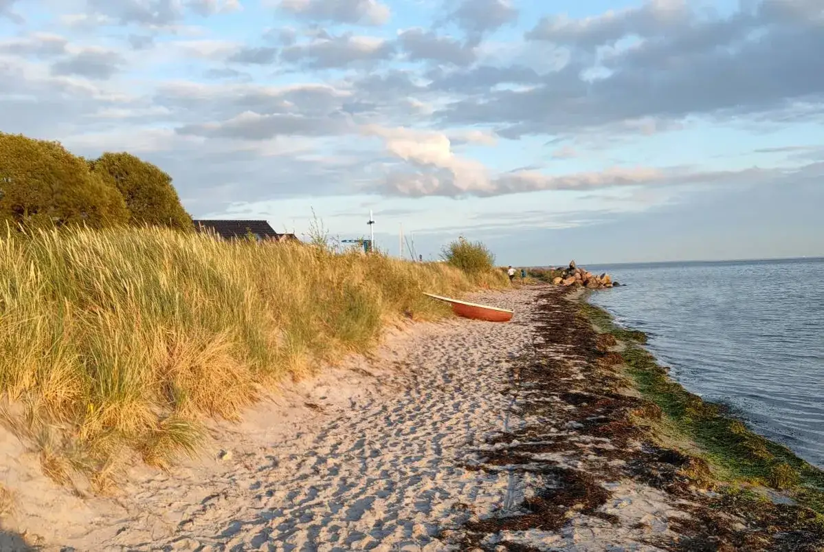 Piękny dzień nad morzem. Piaszczysta plaża, trawy morskie i spokojna woda tworzą idealne kąpielisko w powiecie puckim.