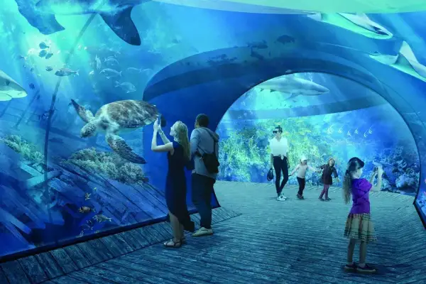 Rodzina zwiedza jastrzębia góra oceanarium, podziwiając żółwia i rekiny. Dzieci robią zdjęcia podwodnego świata.