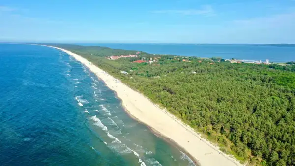 Piękna plaża i las sosnowy w Krynicy Morskiej, idealne miejsce na wakacje. W oddali widać morze i zabudowania.