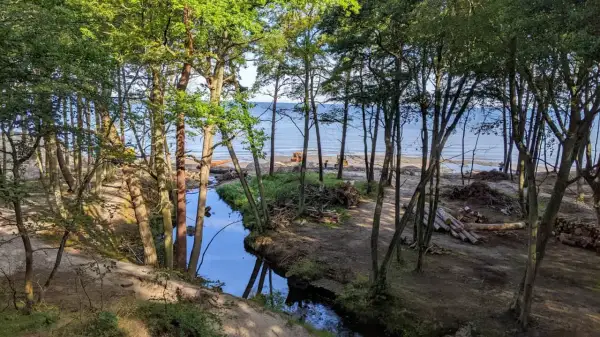 Leśna ścieżka nad morzem, strumyk odbijający drzewa, maszyny budowlane na plaży. Orzechowo atrakcje w przygotowaniu.